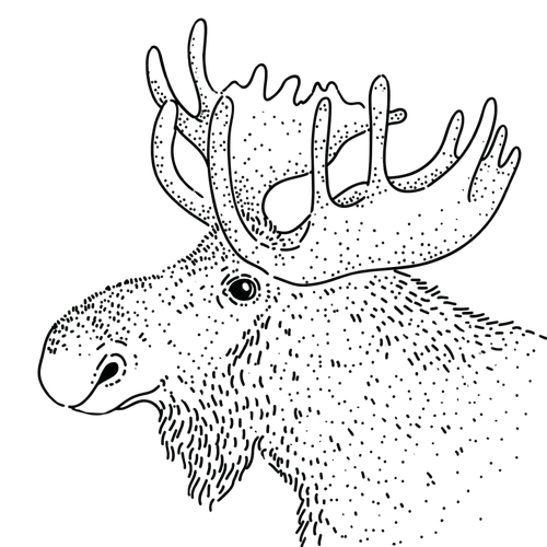 Ilustracja Dostojny Łoś