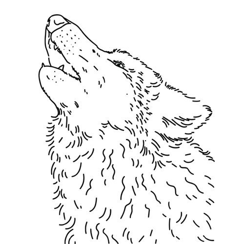 Ilustracja Dumny Wilk