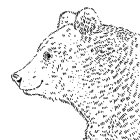 Szarmancki Niedźwiedź