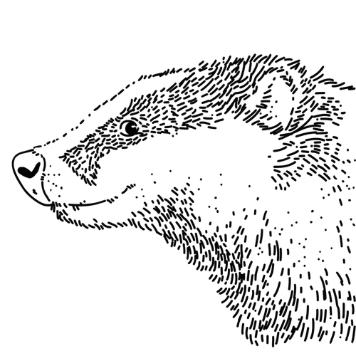 Ilustracja Szykowny Borsuk