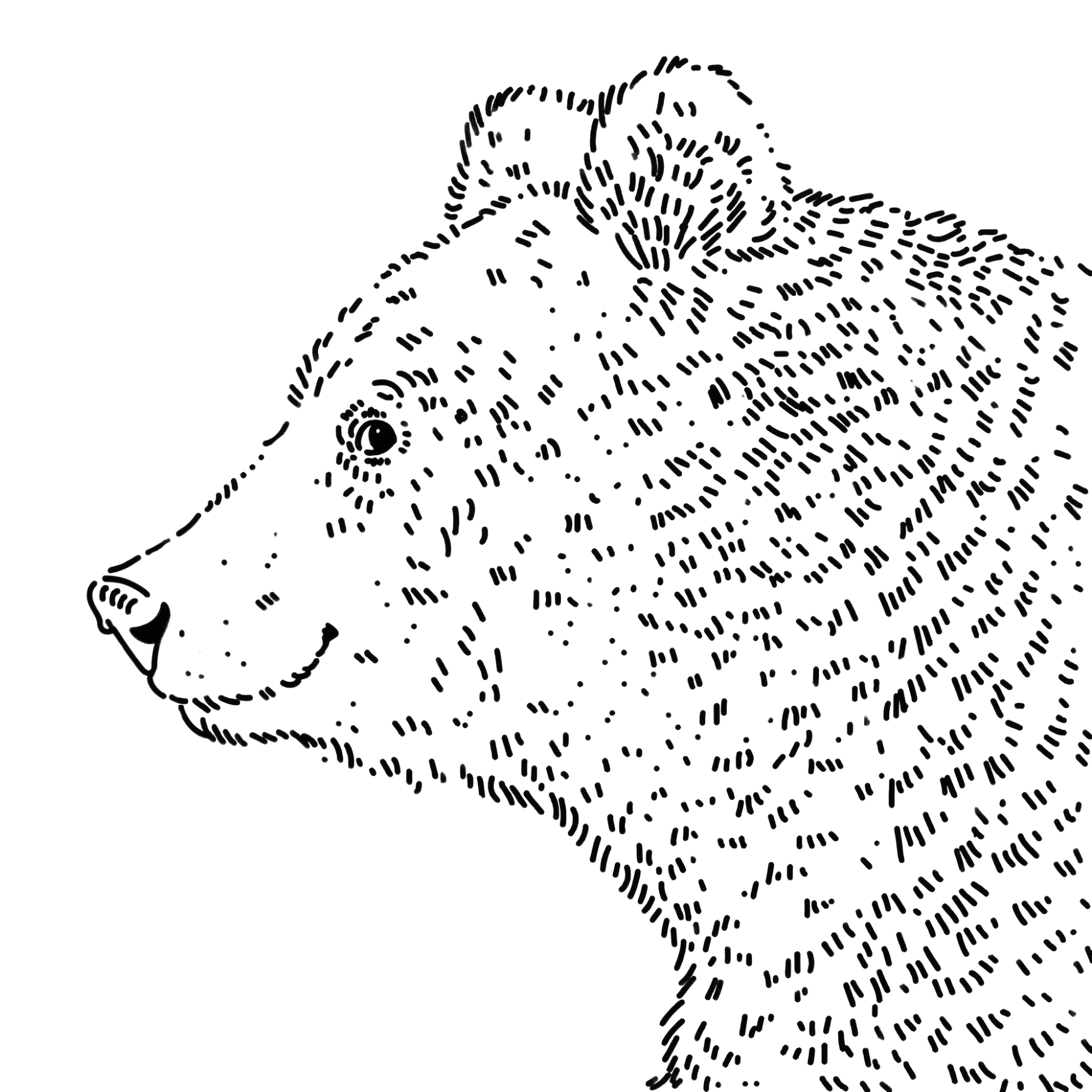 Szarmancki Niedźwiedź